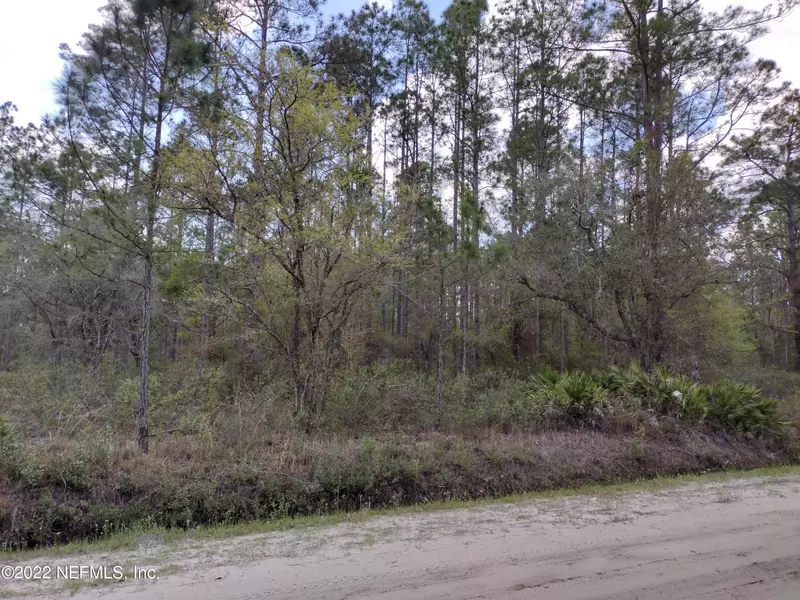 10685 CARPENTER AVE, Hastings, FL 32145