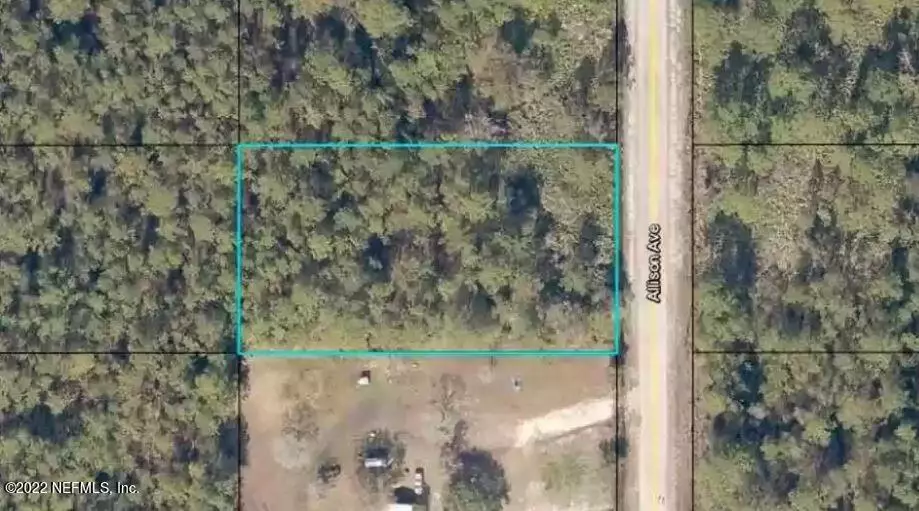 10685 ALLISON AVE, Hastings, FL 32145