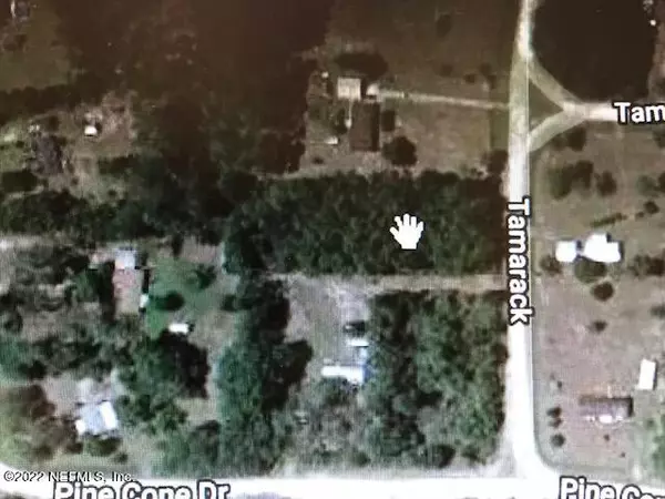 Georgetown, FL 32139,103 TAMARAC CT