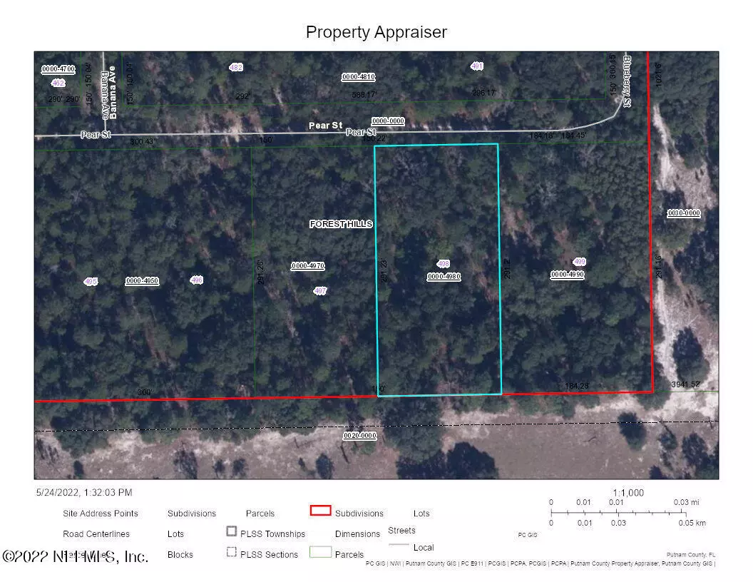 Welaka, FL 32193,LOT 498 PEAR ST