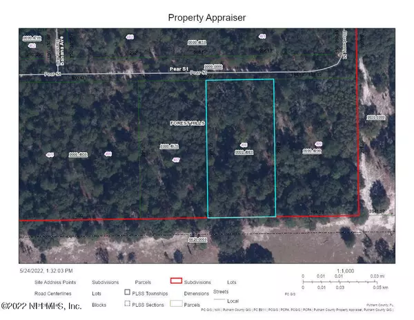 LOT 498 PEAR ST,  Welaka,  FL 32193