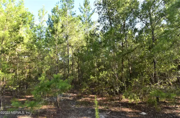 Welaka, FL 32193,LOT 498 PEAR ST