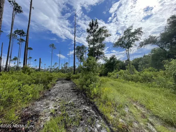 Crescent City, FL 32112,000 OFF JUMPING GULLY RD