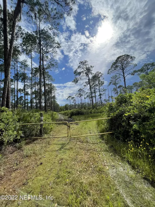 Crescent City, FL 32112,000 OFF JUMPING GULLY RD