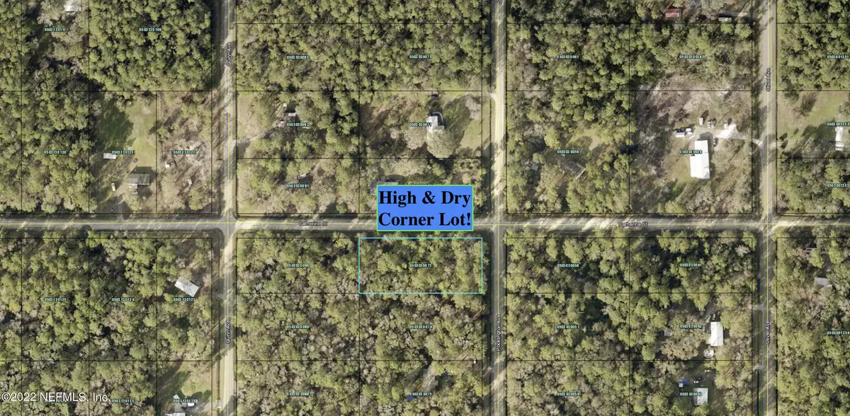 Hastings, FL 32145,9705 POCKLINGTON AVE