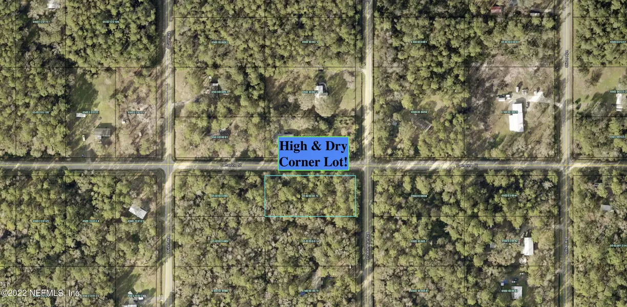 9705 POCKLINGTON AVE, Hastings, FL 32145