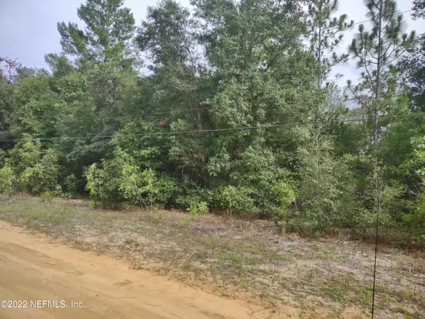 033 2ND WAY,  Interlachen,  FL 32148