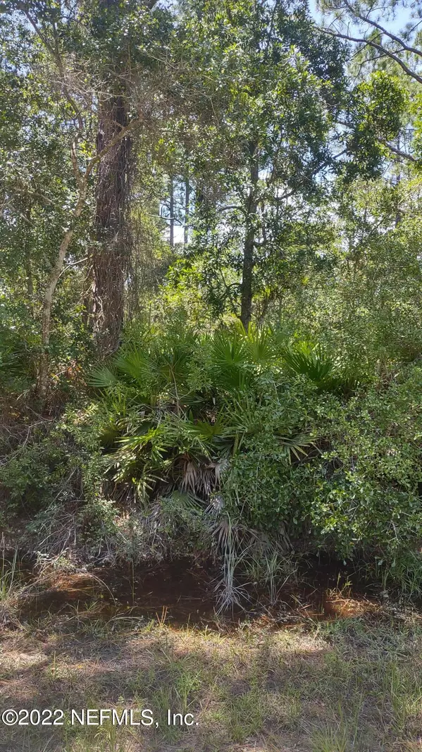 Georgetown, FL 32139,103 OAK DR