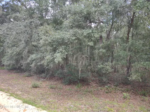 Interlachen, FL 32148,0040 BRETT AVE