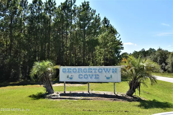 303 ROSEWOOD ST, Georgetown, FL 32139