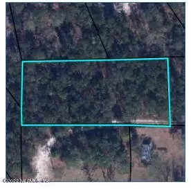 00000 COUNTY ROAD 218, Middleburg, FL 32068