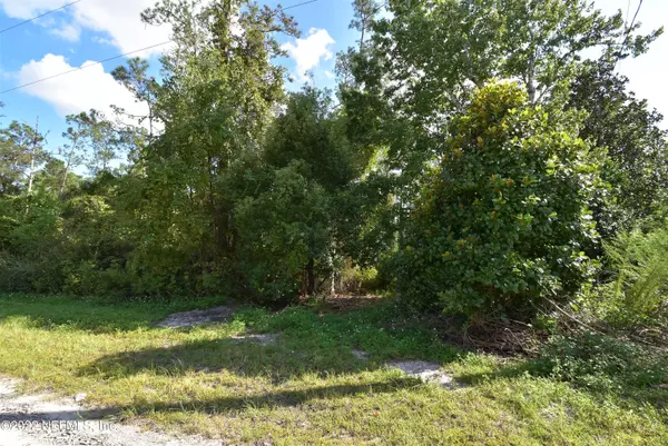 135 SEMINOLE TRL, Georgetown, FL 32139