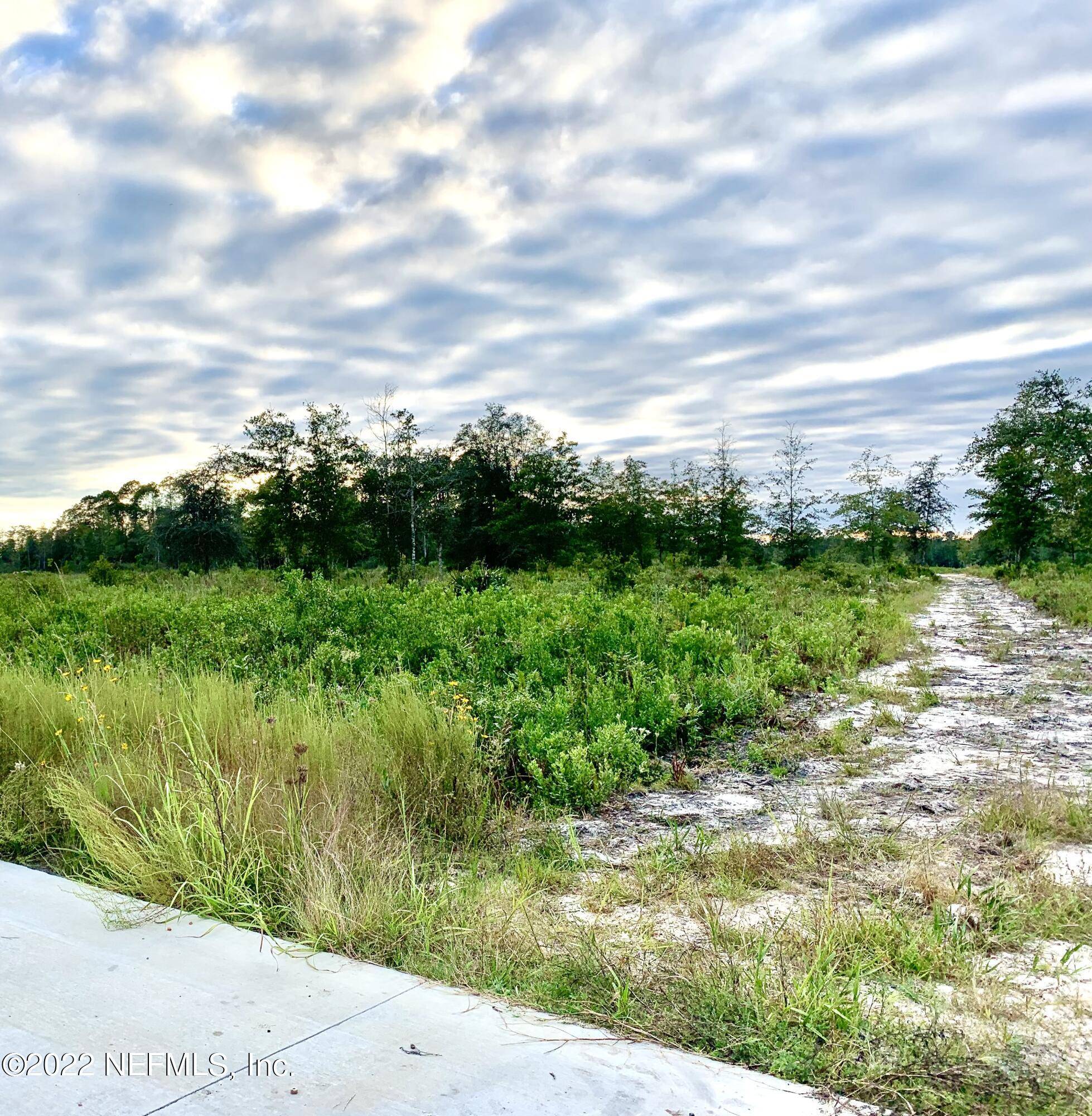 Bryceville, FL 32009,17692 COUNTY ROAD 121
