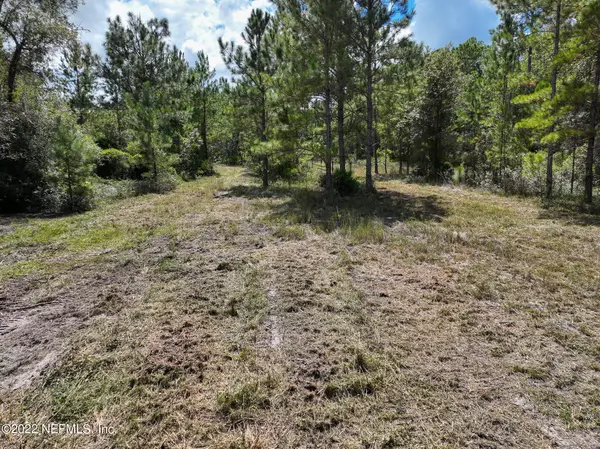 Keystone Heights, FL 32656,4499 BONDARENKO RD