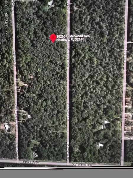 10265 UNDERWOOD AVE, Hastings, FL 32145