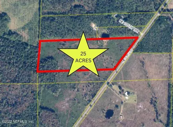 25 ACRES NE CR 237, Lake Butler, FL 32054