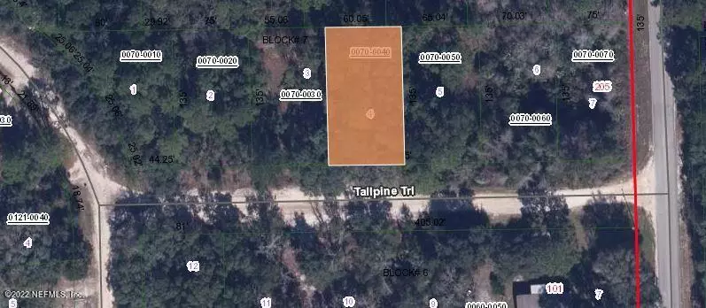 Satsuma, FL 32189,106 TALL PINE TRL