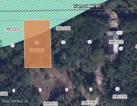 Satsuma, FL 32189,113 FERN CREEK TRL