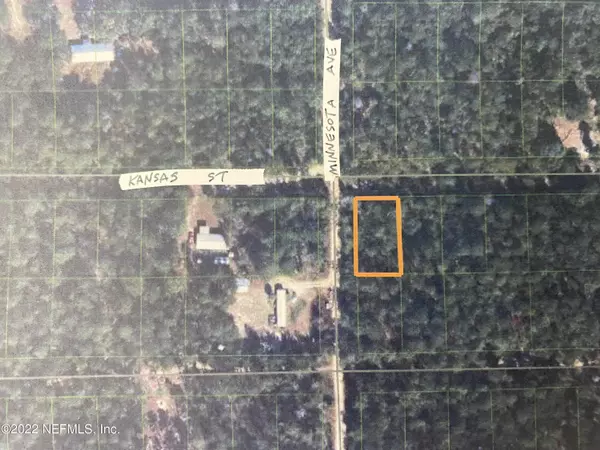 Satsuma, FL 32189,LOT 1 MINNESOTA AVE