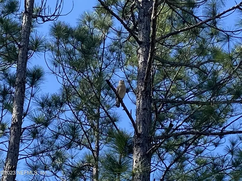 4625 FREDRICK ST, Hastings, FL 32145