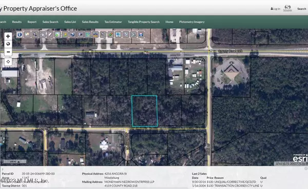 Middleburg, FL 32068,4256 ANGORA ST