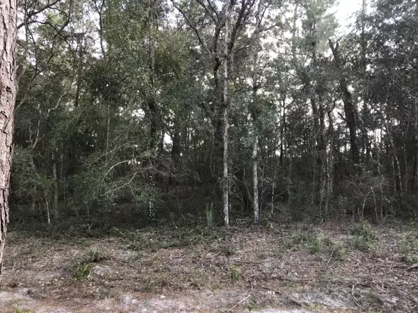 Satsuma, FL 32189,113 COLORADO ST