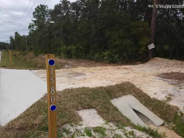 Georgetown, FL 32139,1580 COUNTY ROAD 309