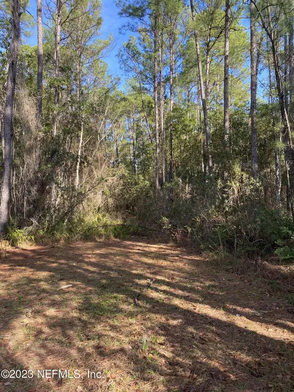 Satsuma, FL 32189,0 FERNCREEK TRL