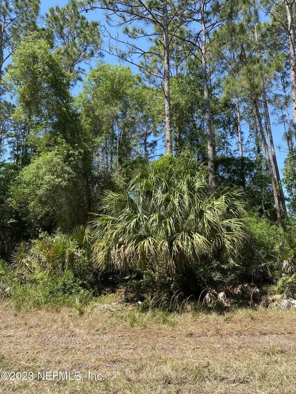 426 LIVE OAK LOOP, Crescent City, FL 32112