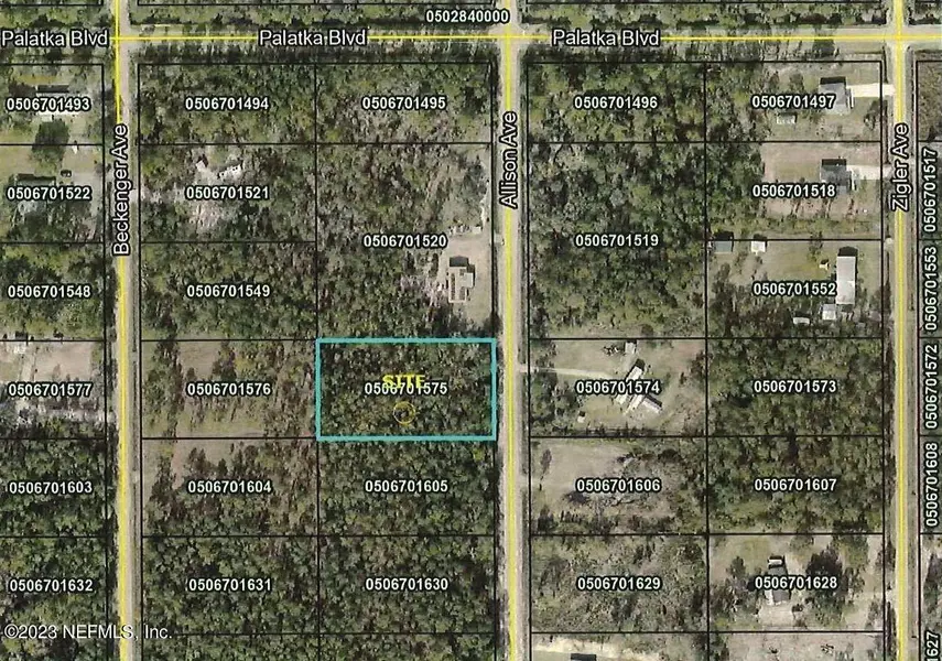 10635 ALLISON AVE, Hastings, FL 32145