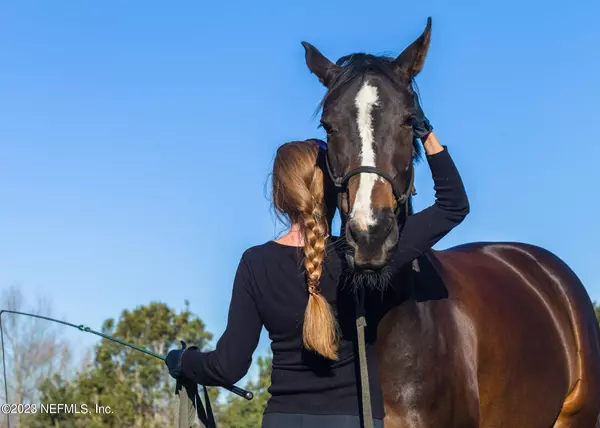 Hastings, FL 32145,355 DIAMOND TRL