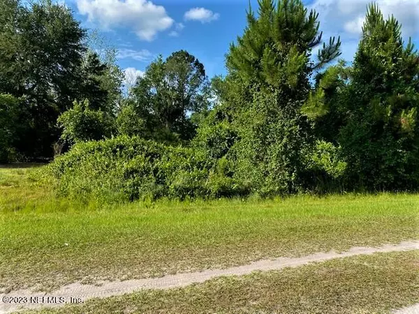 LOT 33 PALM WAY, Georgetown, FL 32139