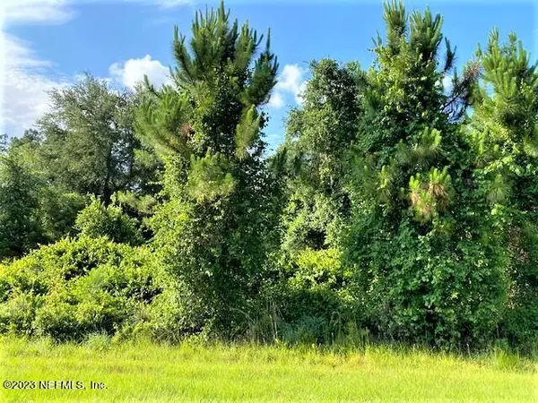 Georgetown, FL 32139,LOT 33 PALM WAY