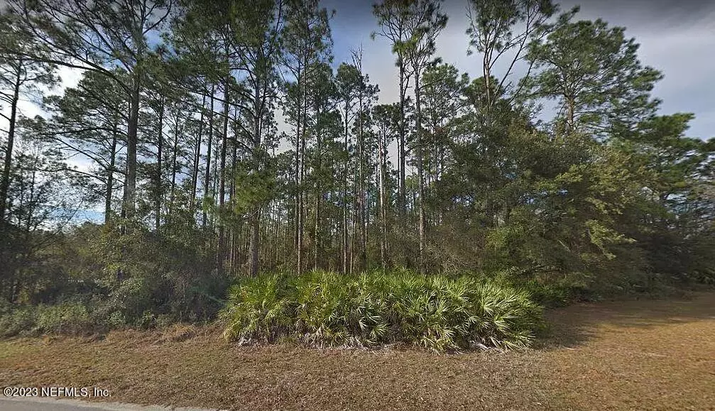 4361 SIDEWINDER TRL, Middleburg, FL 32068