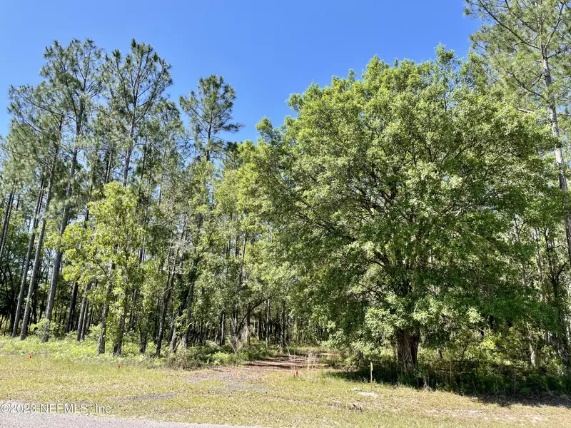 14002 DUNROVEN DR, Bryceville, FL 32009