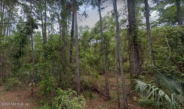 Georgetown, FL 32139,LOT 98 ARDEN ST