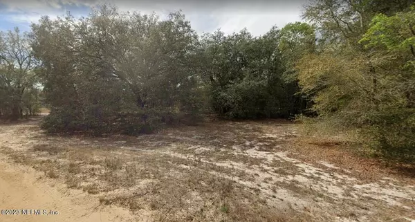 LOT 40 GUY AVE, Interlachen, FL 32148