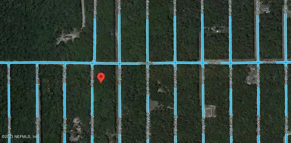 Interlachen, FL 32148,LOT 3 NEILSEN AVE