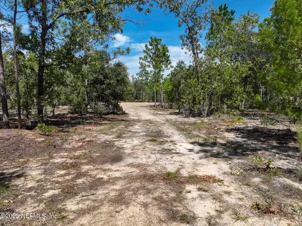 Hawthorne, FL 32640,110 BIRCHDALE TRL