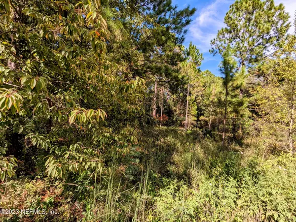 Keystone Heights, FL 32656,6058 INDIAN TRL