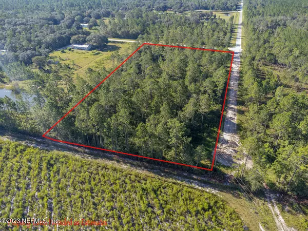 Hollister, FL 32147,0000 PINE TREE DR