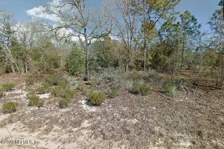 LOT 17 DELAND AVE, Interlachen, FL 32148