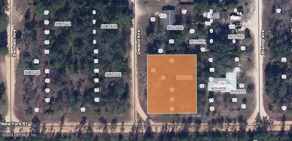 Interlachen, FL 32148,LOT 17 DELAND AVE