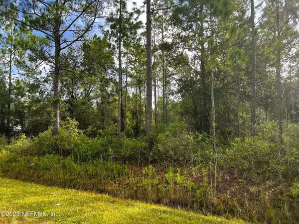 Hastings, FL 32145,10230 CARPENTER AVE