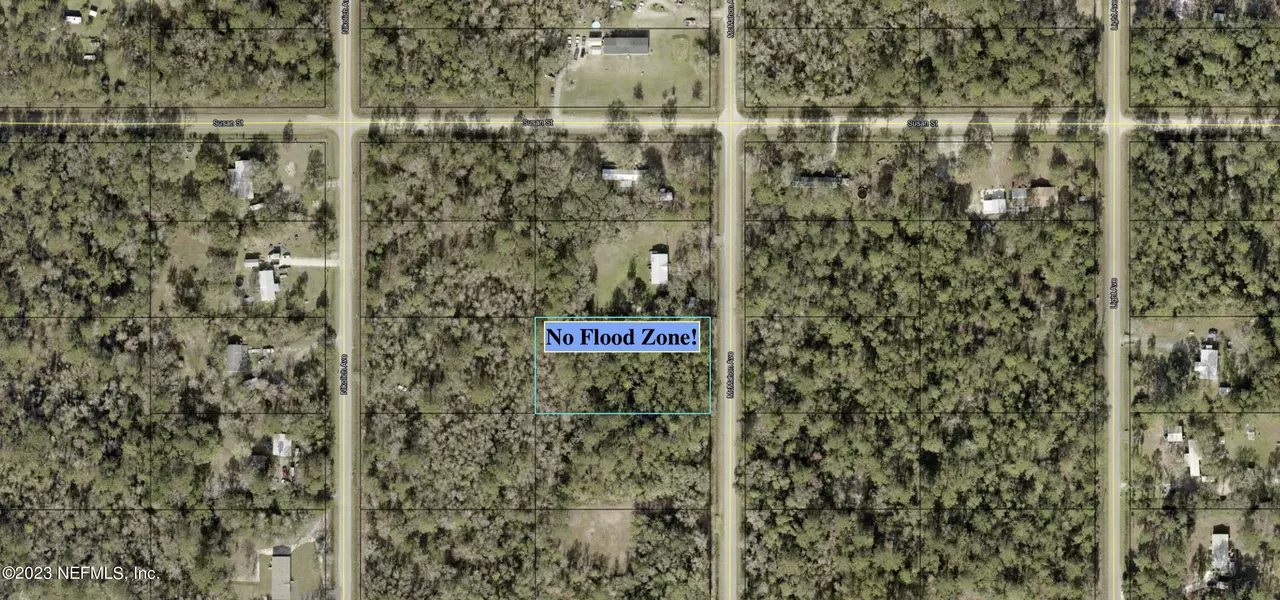 10225 MCMAHON AVE, Hastings, FL 32145