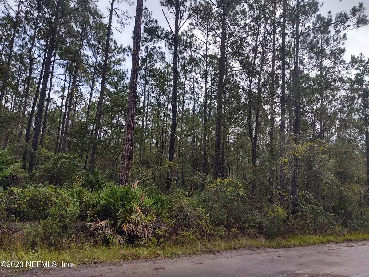 Keystone Heights, FL 32656,0 JONES CREEK RD