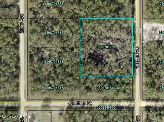 10715 YEAGER (TRACTS 1791 & 1892) AVE, Hastings, FL 32145