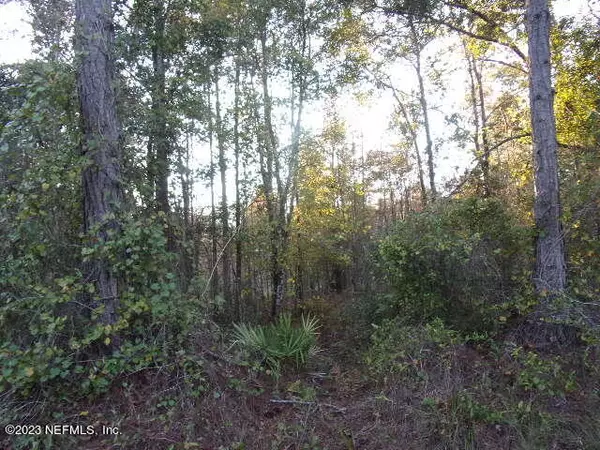 Hastings, FL 32145,10715 YEAGER (TRACTS 1791 & 1892) AVE