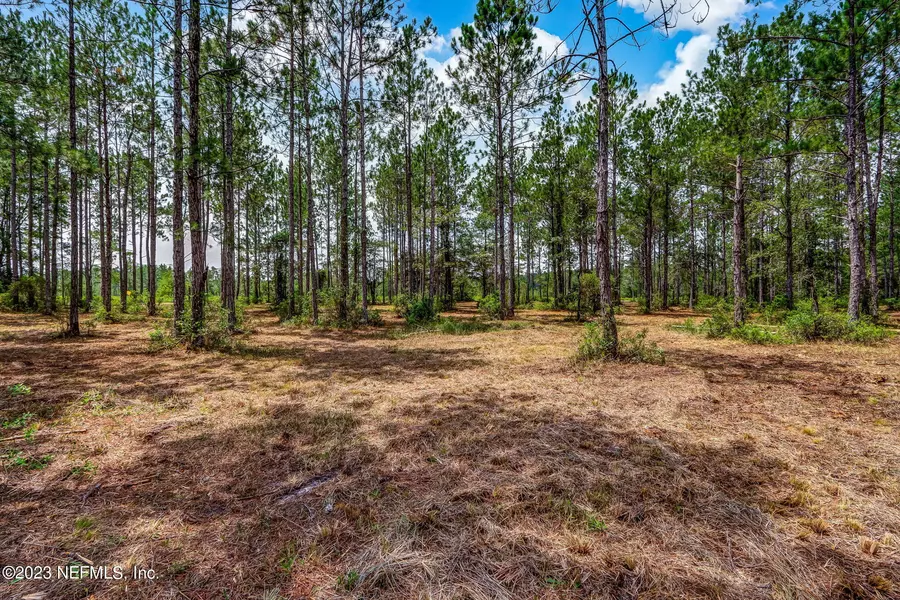 0 COUNTY ROAD 121, Hilliard, FL 32046