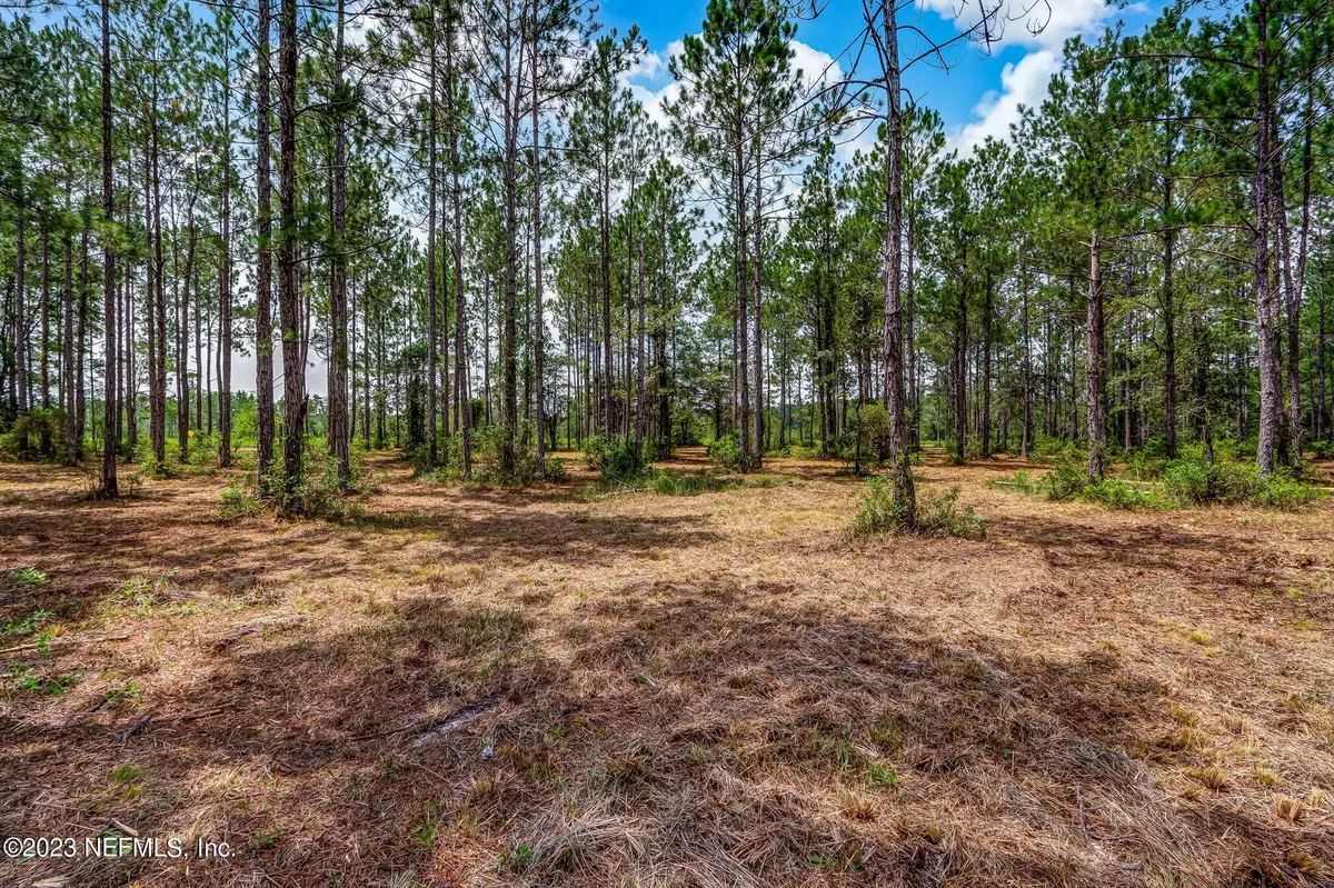 Hilliard, FL 32046,0 COUNTY ROAD 121